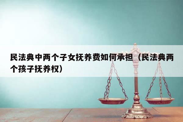 民法典中两个子女抚养费如何承担（民法典两个孩子抚养权）