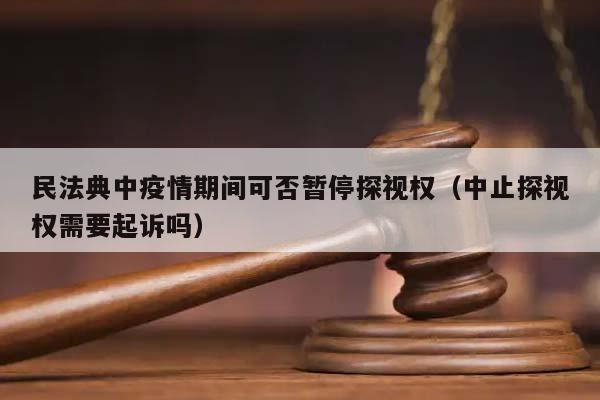 民法典中疫情期间可否暂停探视权（中止探视权需要起诉吗）