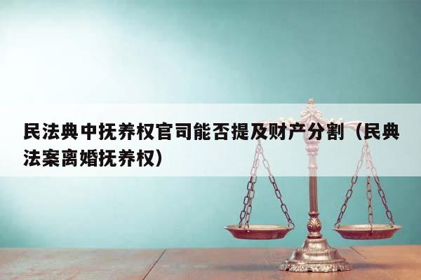 民法典中抚养权官司能否提及财产分割（民典法案离婚抚养权）
