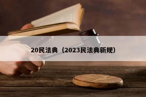20民法典（2023民法典新规）
