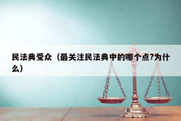 民法典受众（最关注民法典中的哪个点?为什么）