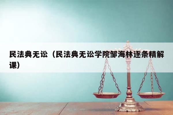 民法典无讼（民法典无讼学院邹海林逐条精解课）