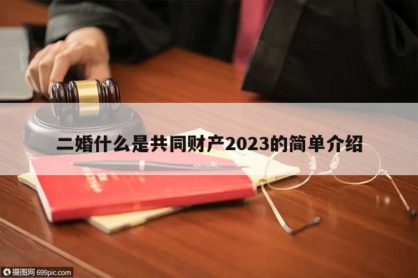 二婚什么是共同财产2023的简单介绍