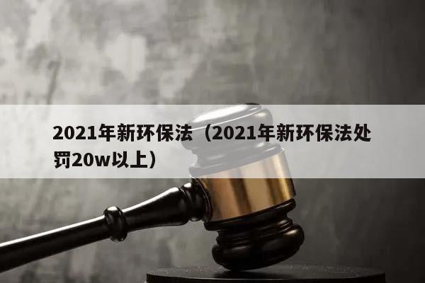 2021年新环保法（2021年新环保法处罚20w以上）