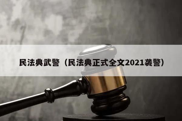 民法典武警（民法典正式全文2021袭警）