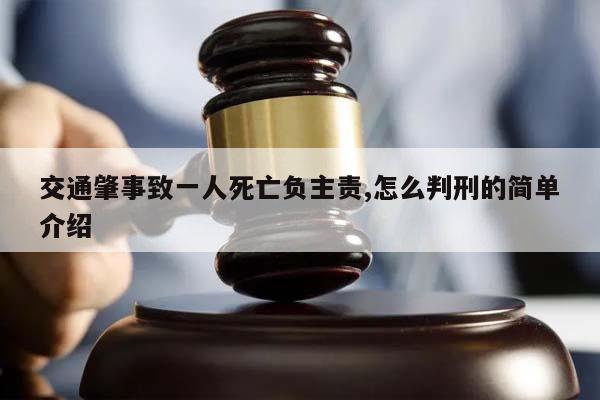 交通肇事致一人死亡负主责,怎么判刑的简单介绍