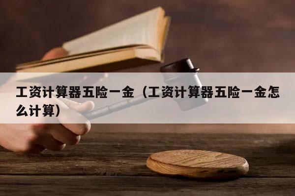 工资计算器五险一金（工资计算器五险一金怎么计算）