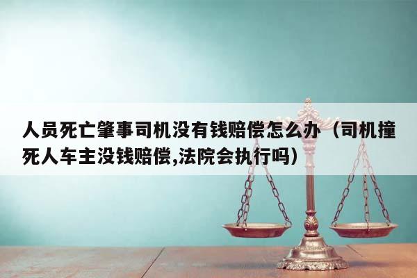 人员死亡肇事司机没有钱赔偿怎么办（司机撞死人车主没钱赔偿,法院会执行吗）