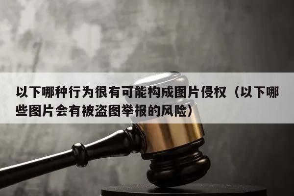 以下哪种行为很有可能构成图片侵权（以下哪些图片会有被盗图举报的风险）