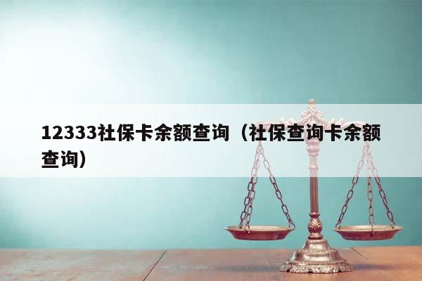 12333社保卡余额查询（社保查询卡余额查询）