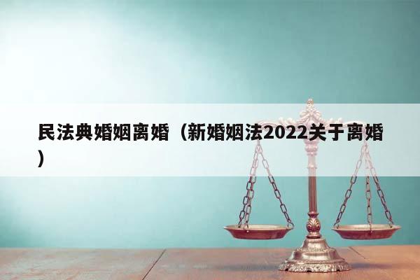 民法典婚姻离婚（新婚姻法2022关于离婚）