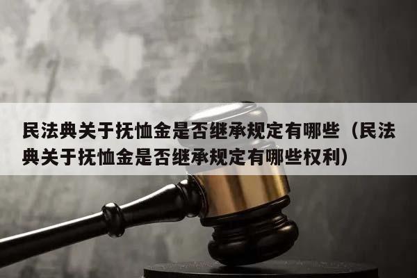 民法典关于抚恤金是否继承规定有哪些（民法典关于抚恤金是否继承规定有哪些权利）