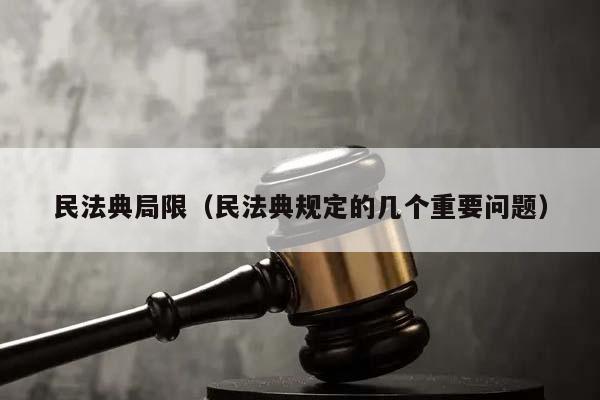 民法典局限（民法典规定的几个重要问题）