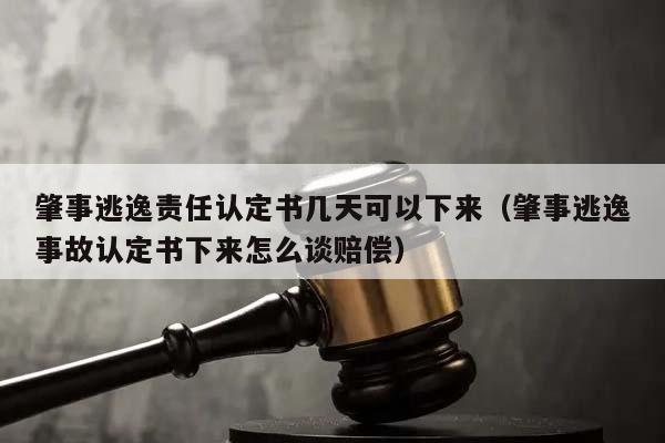 肇事逃逸责任认定书几天可以下来（肇事逃逸事故认定书下来怎么谈赔偿）