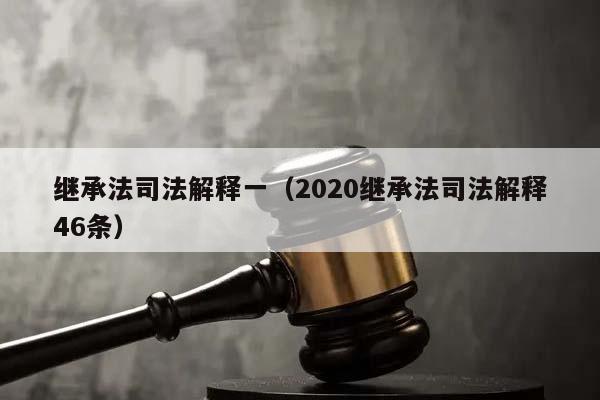 继承法司法解释一（2020继承法司法解释46条）