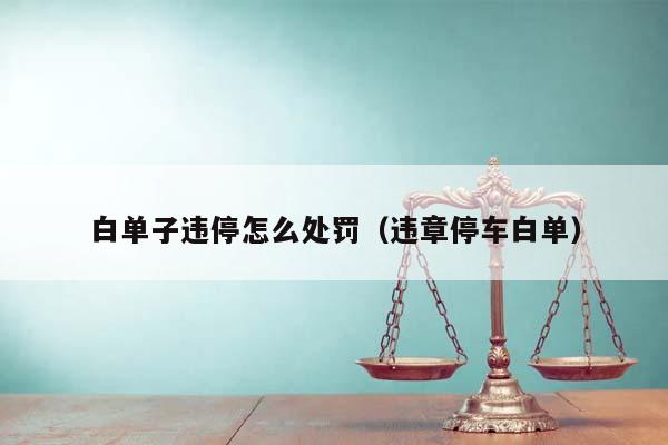 白单子违停怎么处罚（违章停车白单）