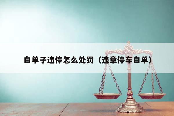 白单子违停怎么处罚（违章停车白单）