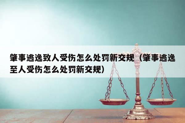 肇事逃逸致人受伤怎么处罚新交规（肇事逃逸至人受伤怎么处罚新交规）