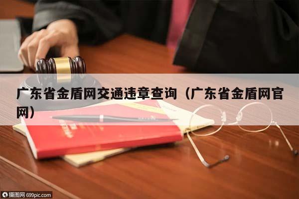 广东省金盾网交通违章查询（广东省金盾网官网）