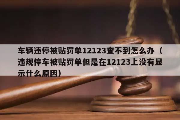 车辆违停被贴罚单12123查不到怎么办（违规停车被贴罚单但是在12123上没有显示什么原因）