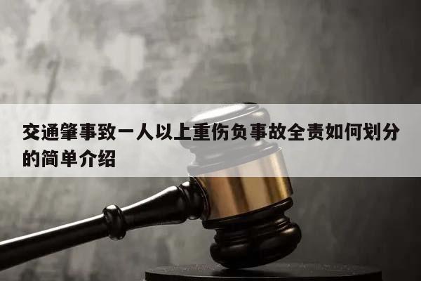 交通肇事致一人以上重伤负事故全责如何划分的简单介绍