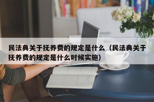 民法典关于抚养费的规定是什么（民法典关于抚养费的规定是什么时候实施）