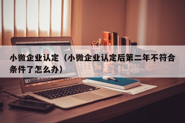 小微企业认定（小微企业认定后第二年不符合条件了怎么办）