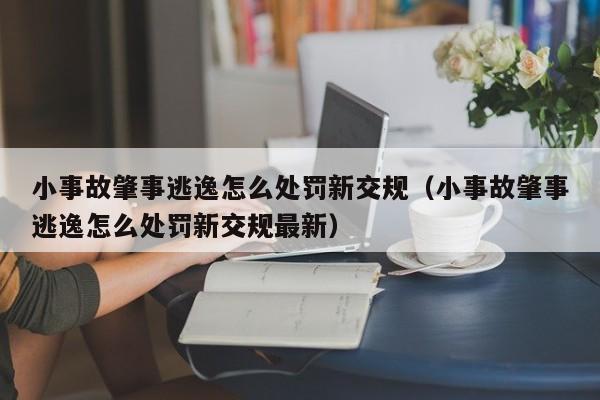 小事故肇事逃逸怎么处罚新交规（小事故肇事逃逸怎么处罚新交规最新）