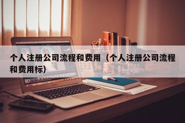 个人注册公司流程和费用（个人注册公司流程和费用标）