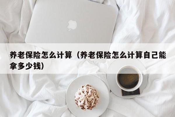 养老保险怎么计算（养老保险怎么计算自己能拿多少钱）