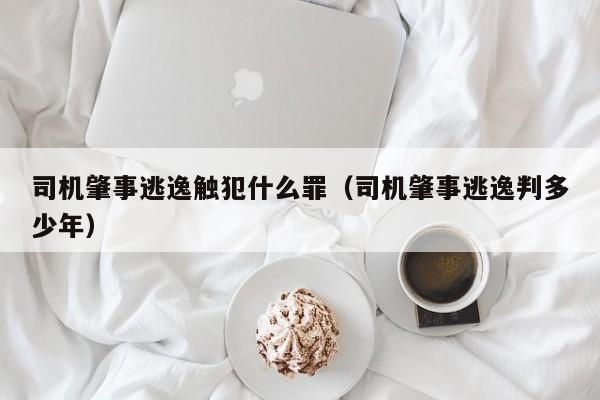 司机肇事逃逸触犯什么罪（司机肇事逃逸判多少年）