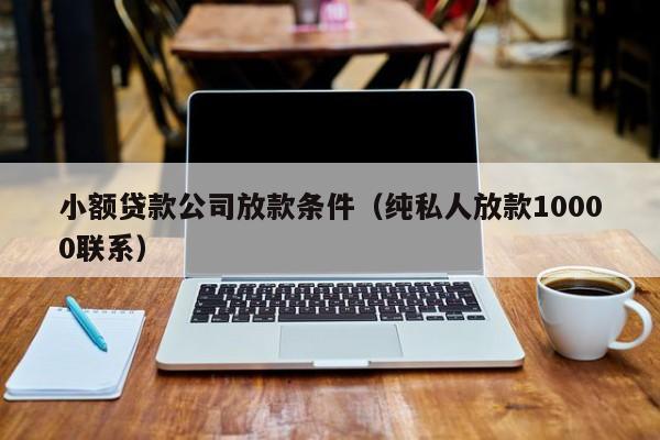 小额贷款公司放款条件（纯私人放款10000联系）