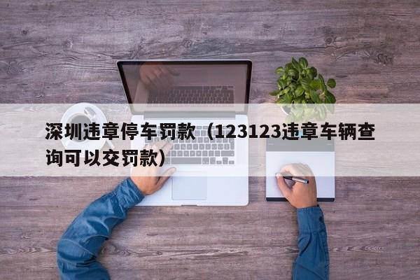 深圳违章停车罚款（123123违章车辆查询可以交罚款）