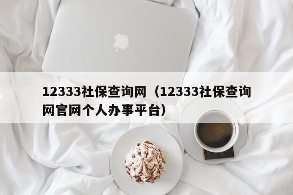 12333社保查询网（12333社保查询网官网个人办事平台）