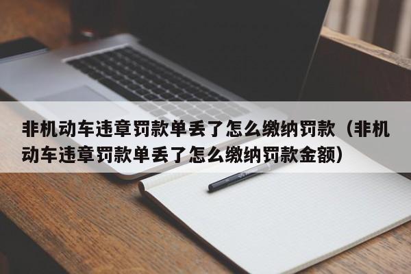 非机动车违章罚款单丢了怎么缴纳罚款（非机动车违章罚款单丢了怎么缴纳罚款金额）