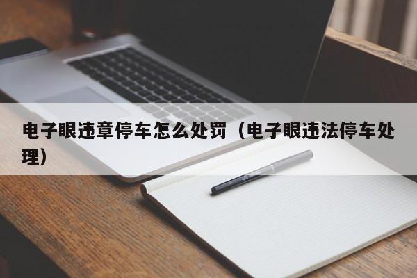 电子眼违章停车怎么处罚（电子眼违法停车处理）