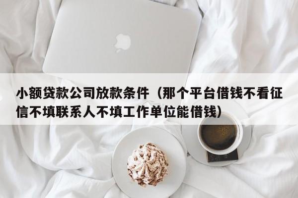 小额贷款公司放款条件（那个平台借钱不看征信不填联系人不填工作单位能借钱）