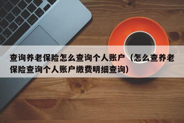 查询养老保险怎么查询个人账户（怎么查养老保险查询个人账户缴费明细查询）