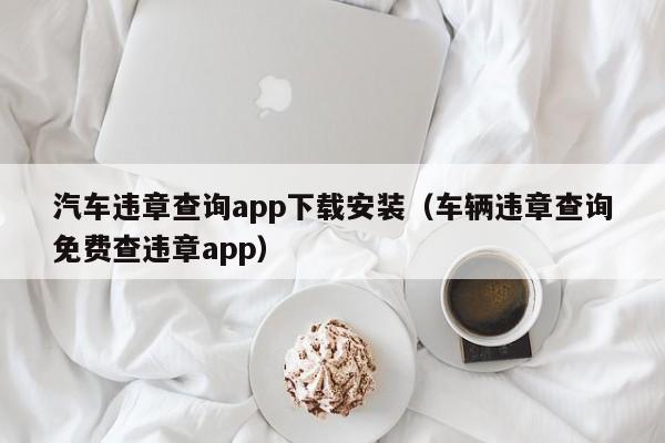 汽车违章查询app下载安装（车辆违章查询免费查违章app）