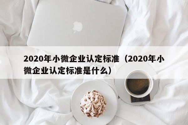 2020年小微企业认定标准（2020年小微企业认定标准是什么）