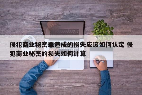 侵犯商业秘密罪造成的损失应该如何认定 侵犯商业秘密的损失如何计算