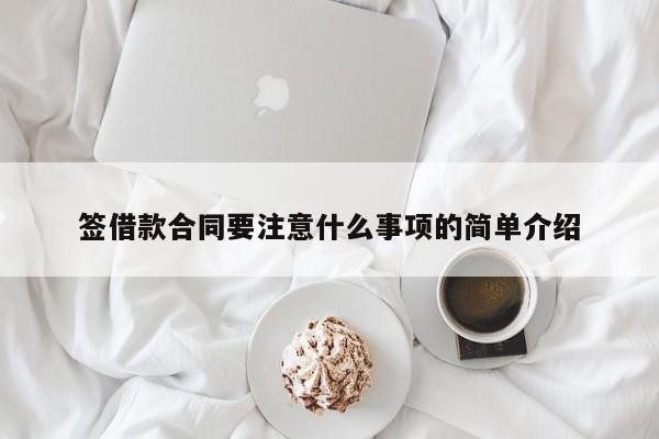 签借款合同要注意什么事项的简单介绍