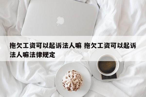 拖欠工资可以起诉法人嘛 拖欠工资可以起诉法人嘛法律规定