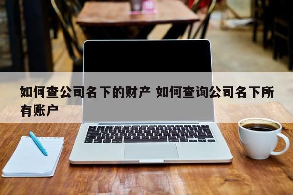 如何查公司名下的财产 如何查询公司名下所有账户