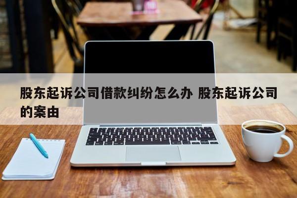 股东起诉公司借款纠纷怎么办 股东起诉公司的案由
