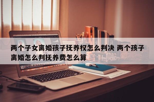 两个子女离婚孩子抚养权怎么判决 两个孩子离婚怎么判抚养费怎么算