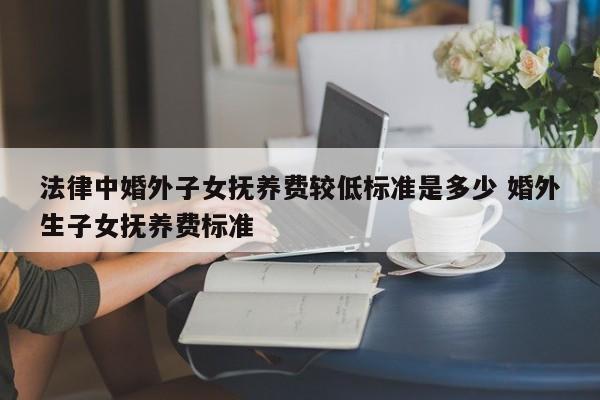 法律中婚外子女抚养费较低标准是多少 婚外生子女抚养费标准