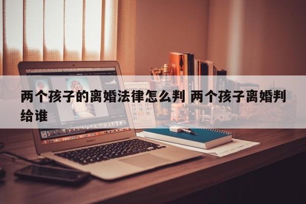 两个孩子的离婚法律怎么判 两个孩子离婚判给谁