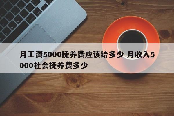 月工资5000抚养费应该给多少 月收入5000社会抚养费多少