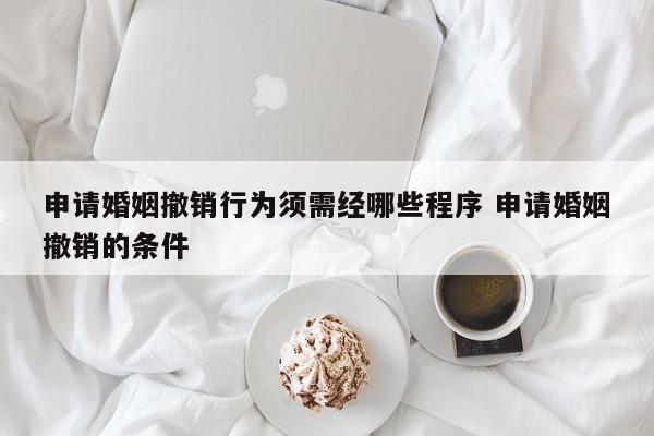 申请婚姻撤销行为须需经哪些程序 申请婚姻撤销的条件